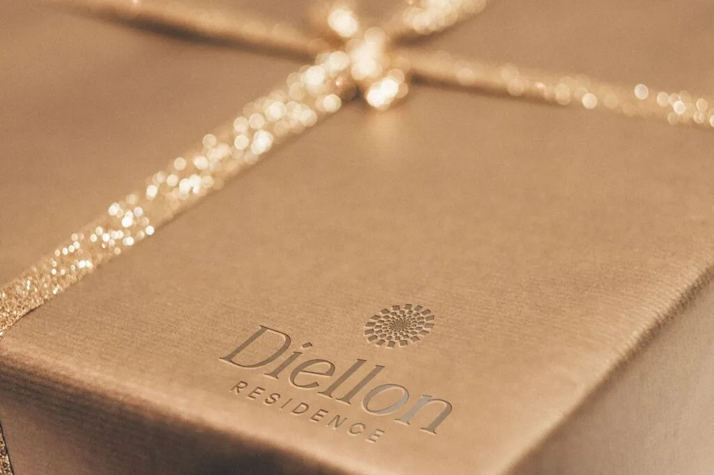 Diellon complete brand identity design by Influneti marketing agency
