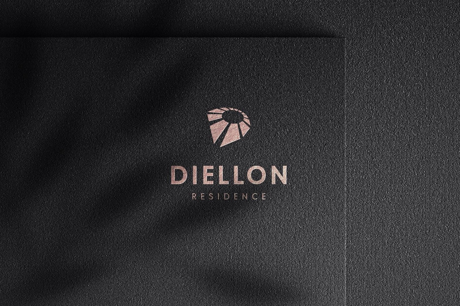 Diellon corporate branding presentation by TellAll and Influneti partners